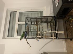 Service : oiseaux Service : oiseaux