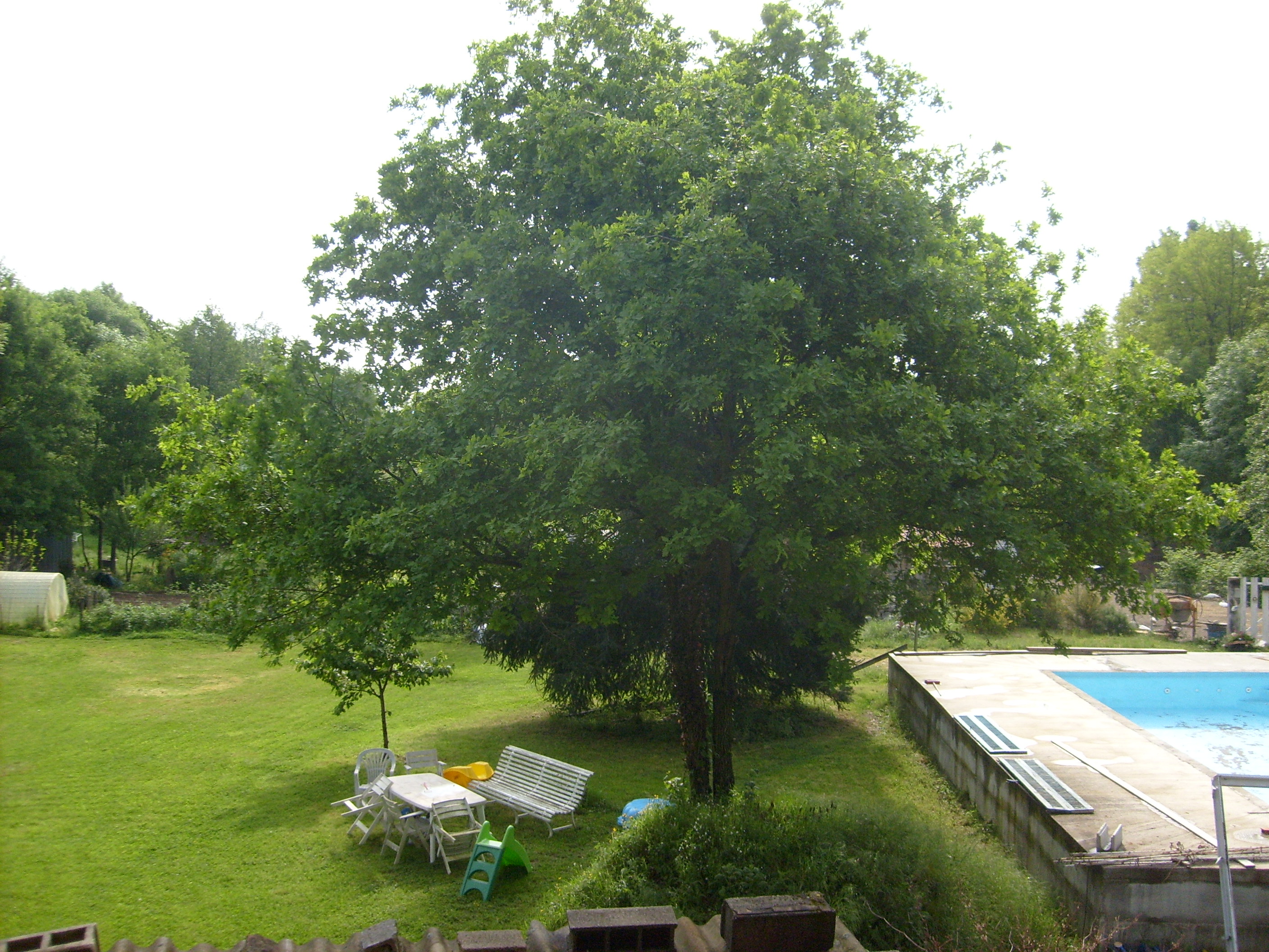 Location jardin 42 entre particuliers