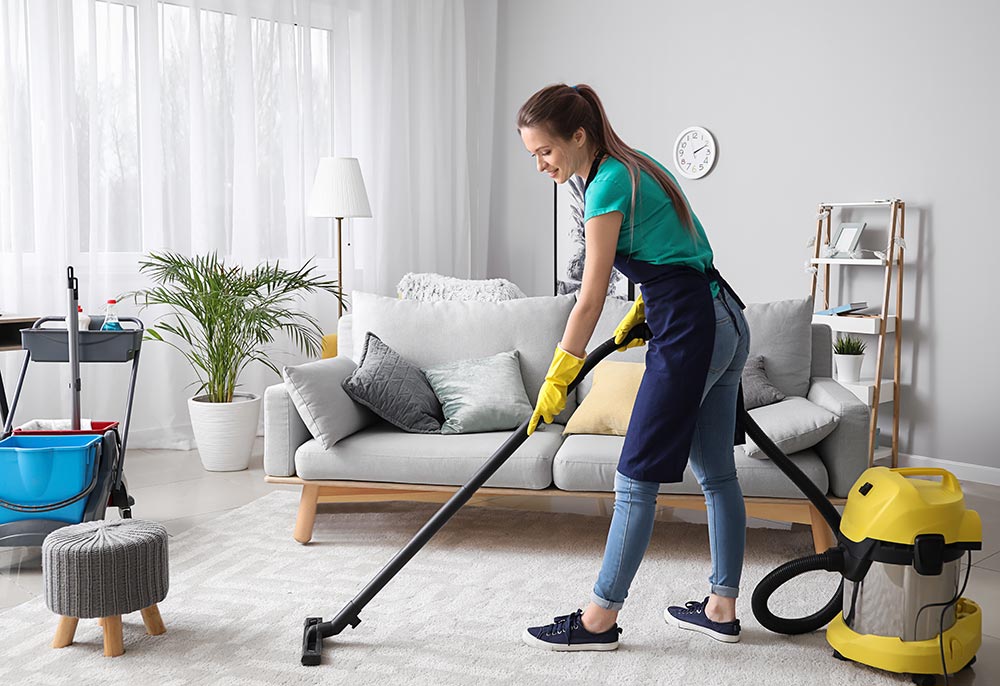 Service aide menagere 78 entre particuliers