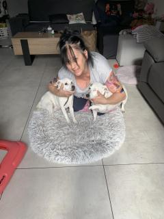 Service : service a personne Service : service a personne