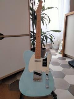 Location guitare entre particuliers
