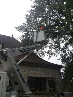 Service : entretien espace vert Service : entretien espace vert