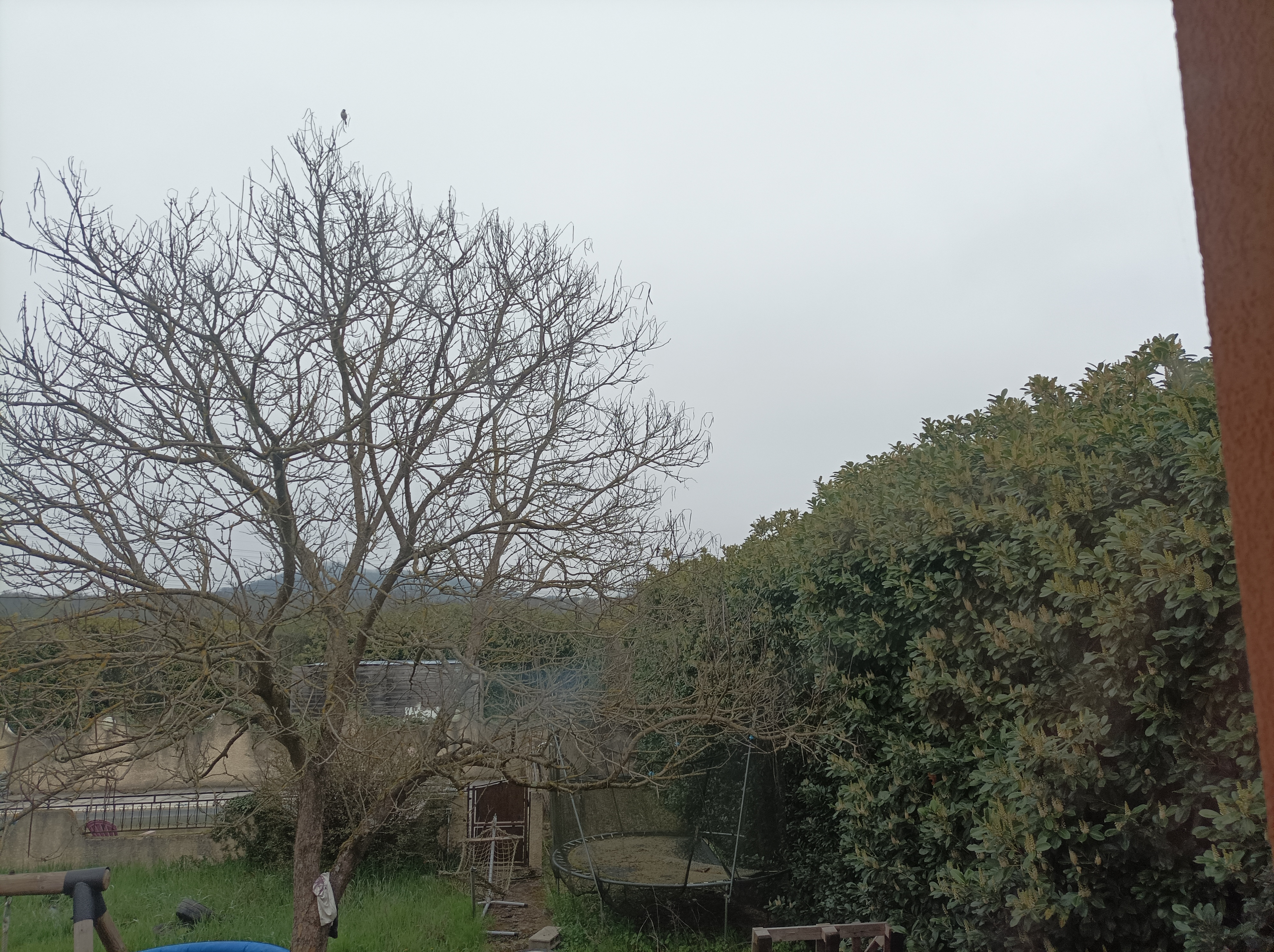 Location broyeur a vegetaux 69 entre particuliers