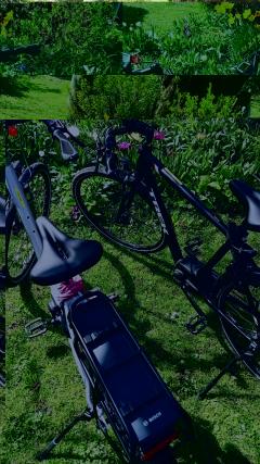 Louer le vélo