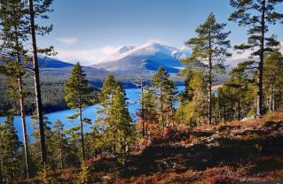 Service : entretien espace vert Service : entretien espace vert