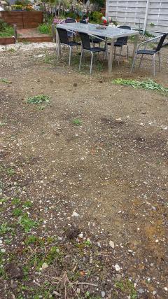 Location : motobineuse Location : motobineuse