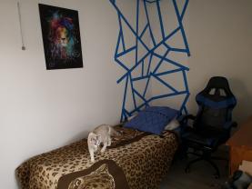 Location : colocation maison Location : colocation maison