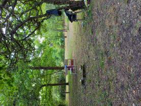 Service : tonte de pelouse Service : tonte de pelouse