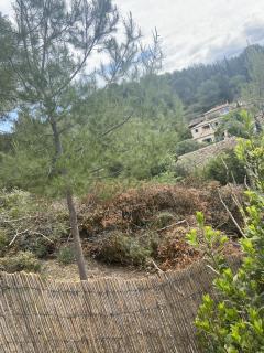 Location : broyeur a vegetaux Location : broyeur a vegetaux