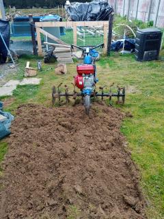 Service : tonte de pelouse Service : tonte de pelouse