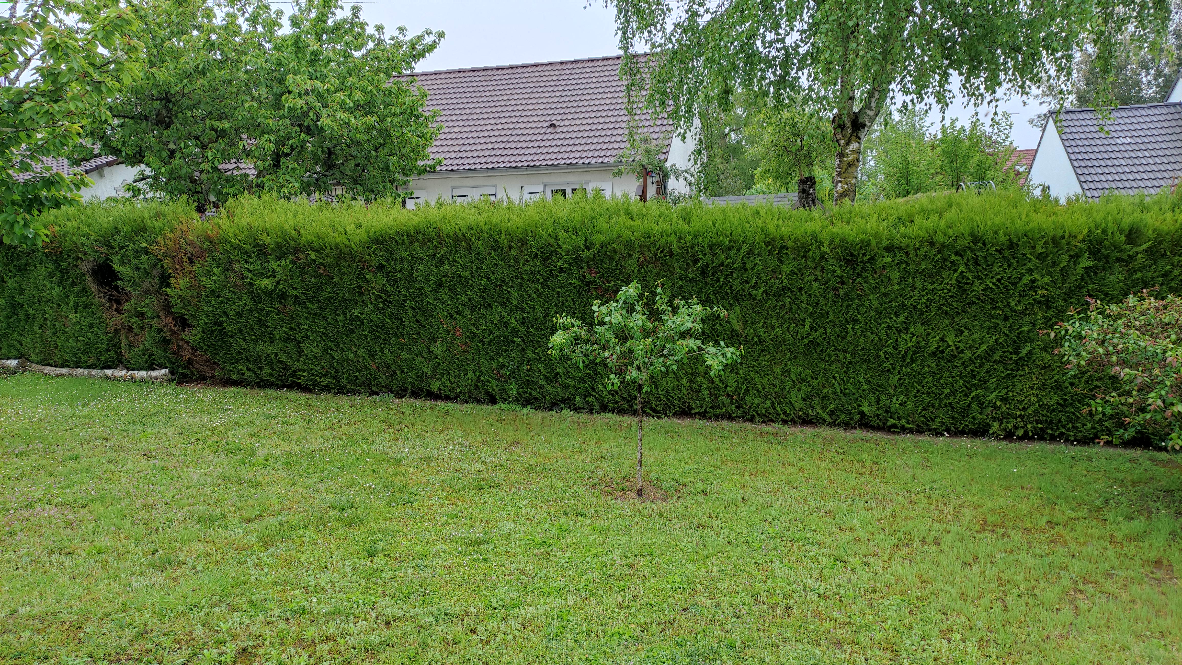 Service taille de haies 45 entre particuliers