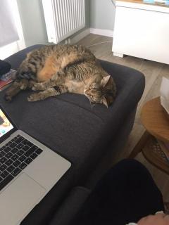 Service : chat Service : chat