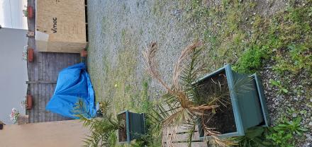 Service : debroussaillage Service : debroussaillage