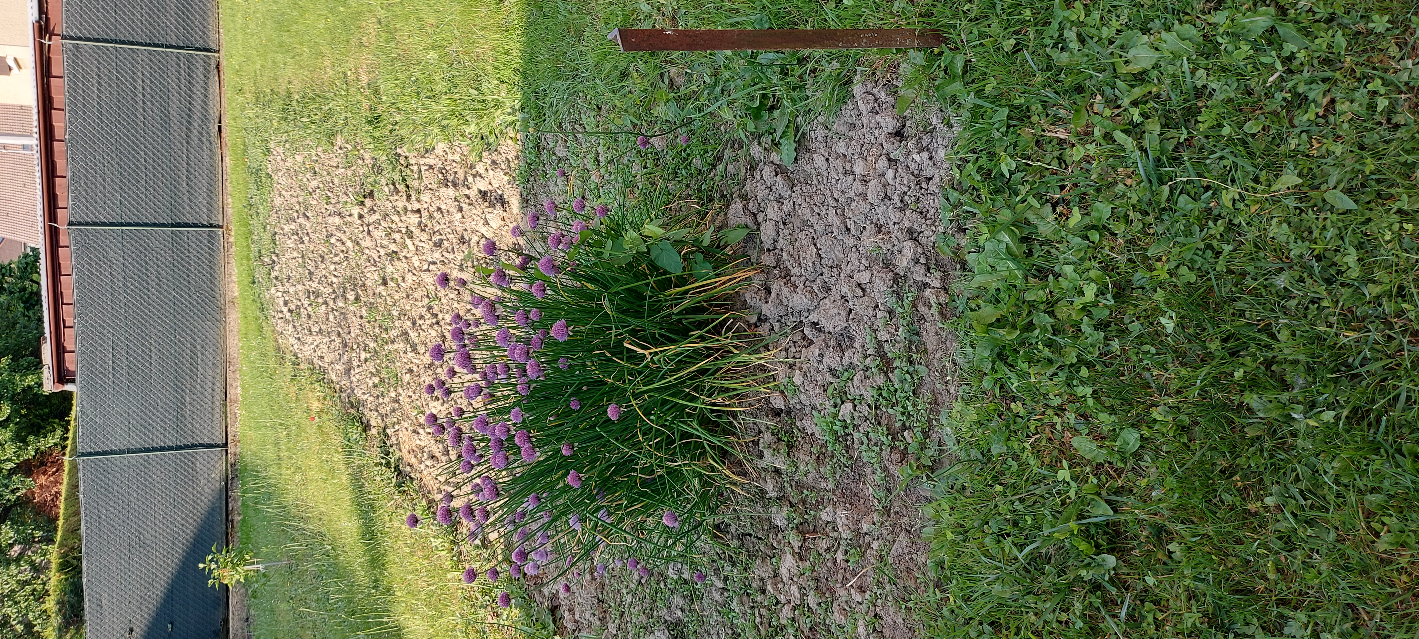 Service entretien jardin 74 entre particuliers