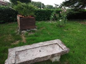 Service : tonte de pelouse Service : tonte de pelouse