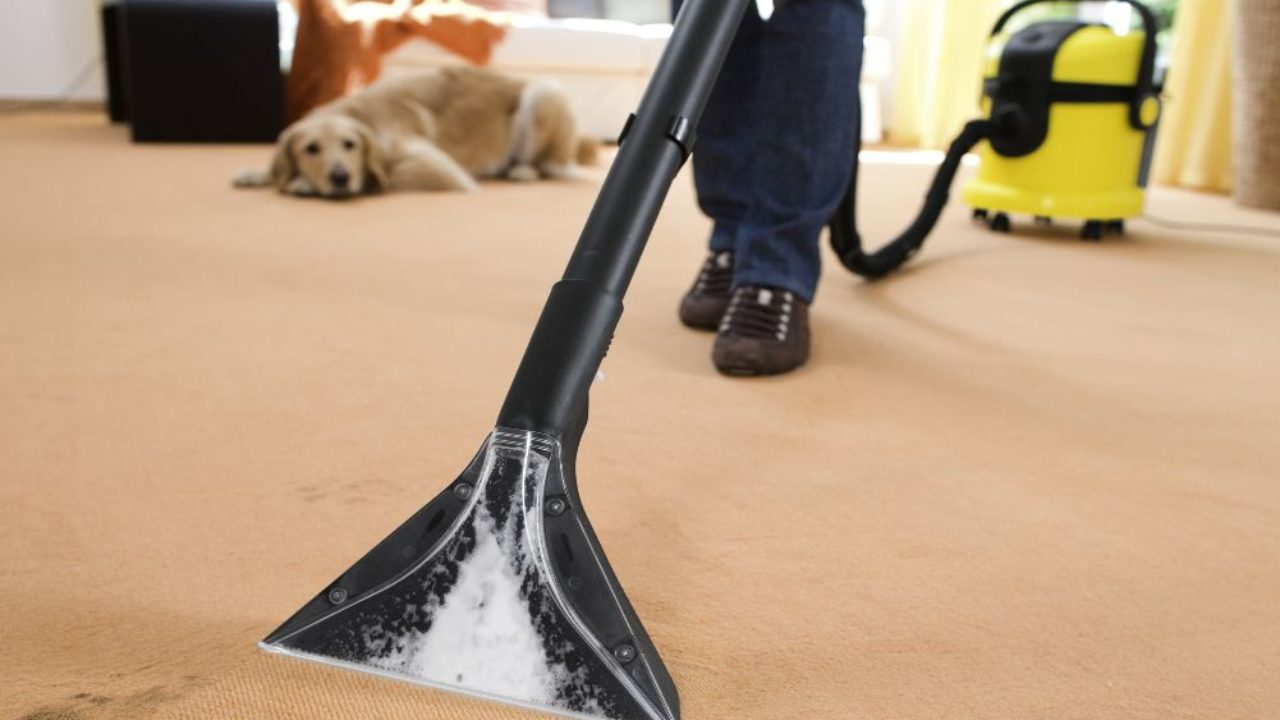 Location injecteur extracteur 77 entre particuliers