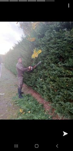 Demander ce jardinier