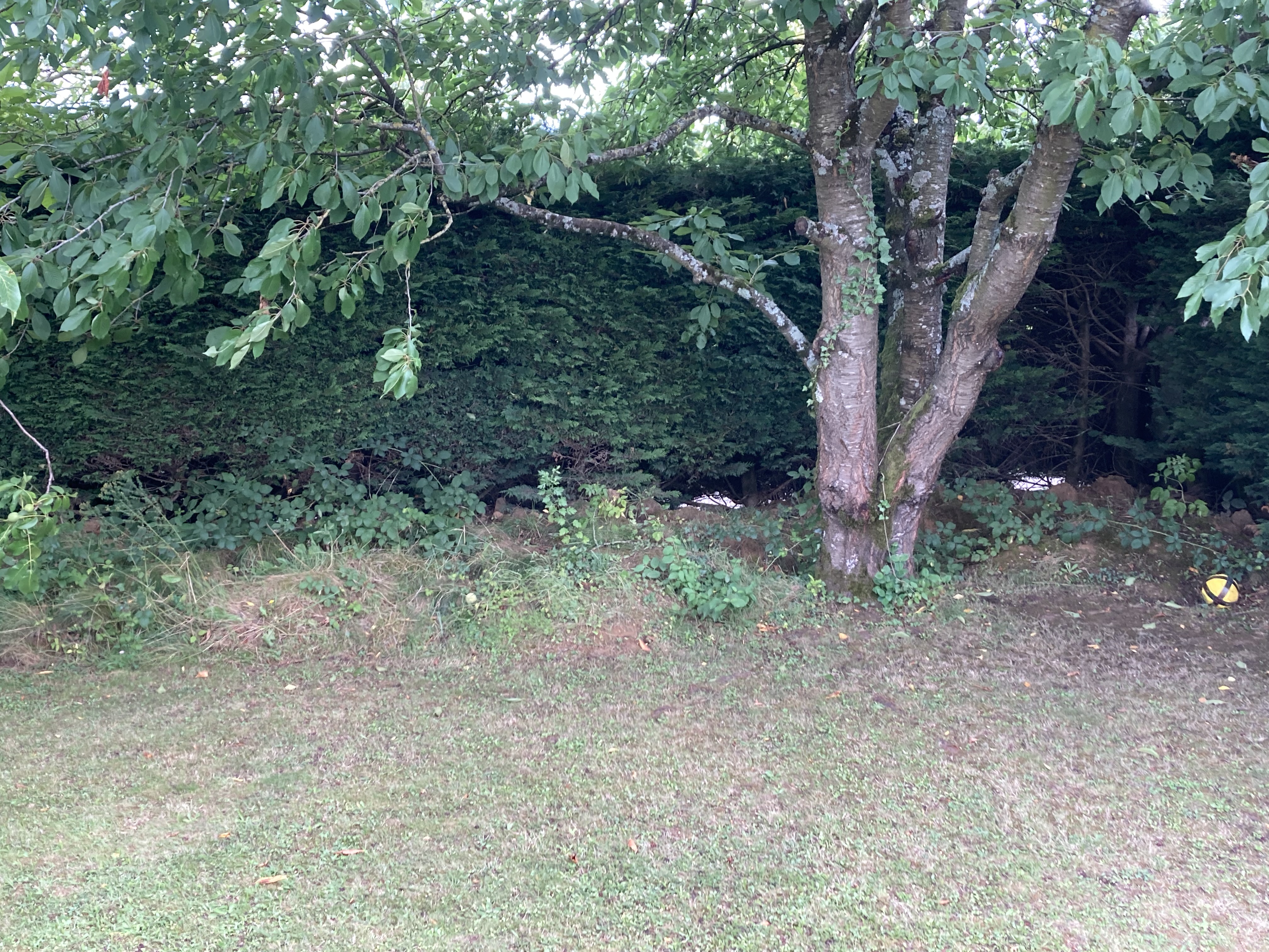 Service amenagement jardin 77 entre particuliers