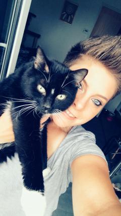 Service : garde animaux Service : garde animaux