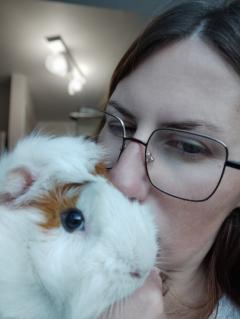 Service : rongeur Service : rongeur