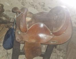 Location : fitness Location : fitness