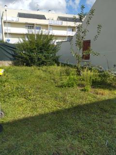 Service : taille de haies Service : taille de haies