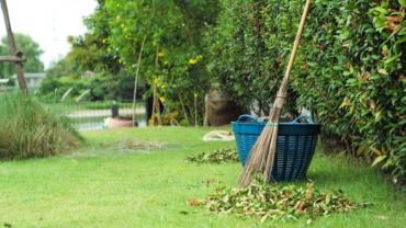 Service entretien jardin entre particuliers