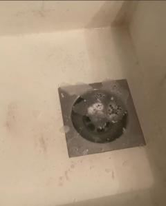 Service : plomberie Service : plomberie