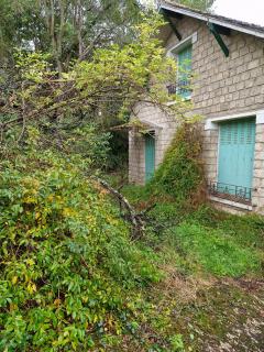 Service : debroussaillage Service : debroussaillage