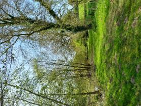 Louer le jardin
