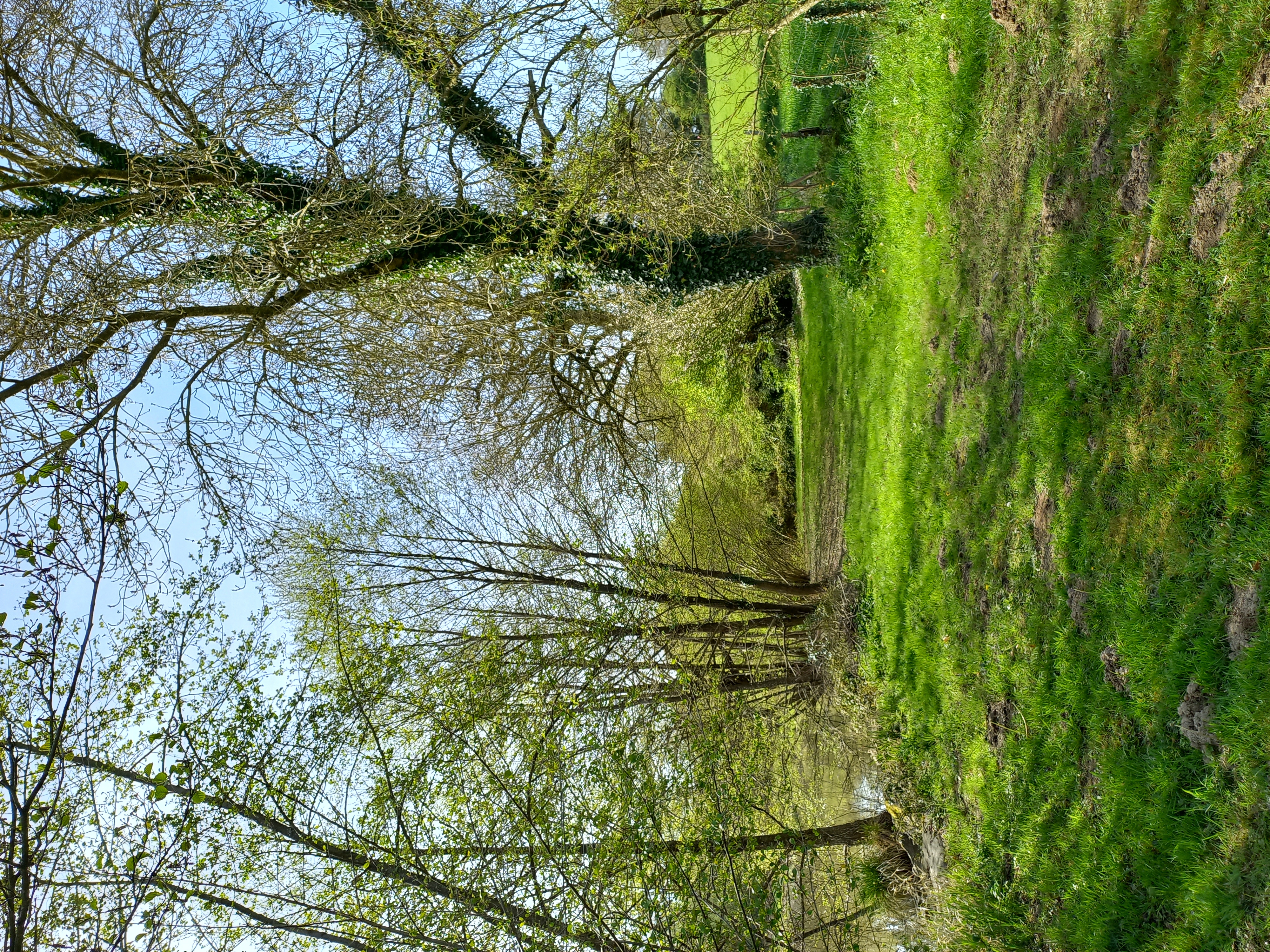 Location jardin potager 85 entre particuliers