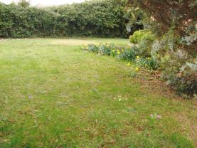 Service : elagage Service : elagage