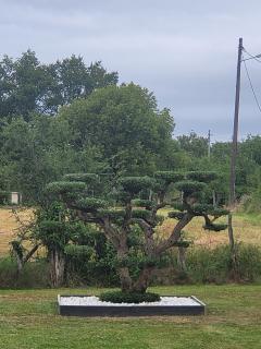 Service : multi services Service : multi services