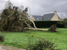 Location : tronconneuse Location : tronconneuse