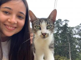 Service : garde animaux Service : garde animaux