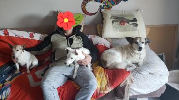 Demander ce petsitter