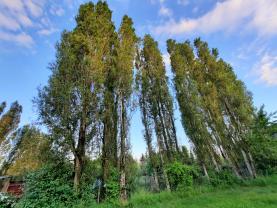 Service : multi services Service : multi services