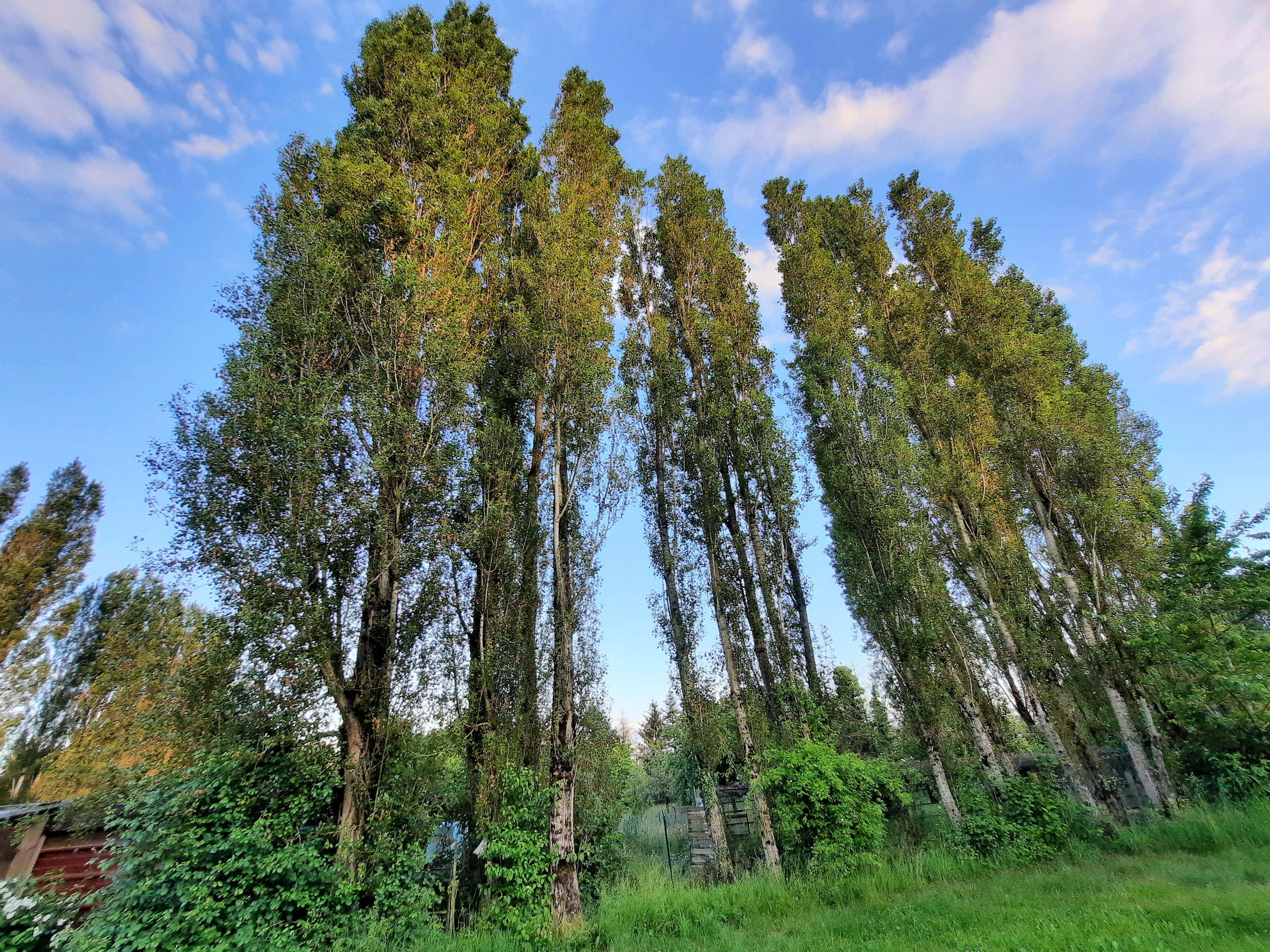 Service multi services 92 entre particuliers