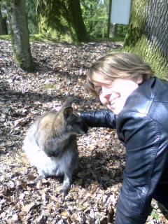 Service : promeneur chien Service : promeneur chien