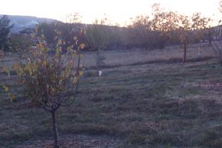 Louer le jardin