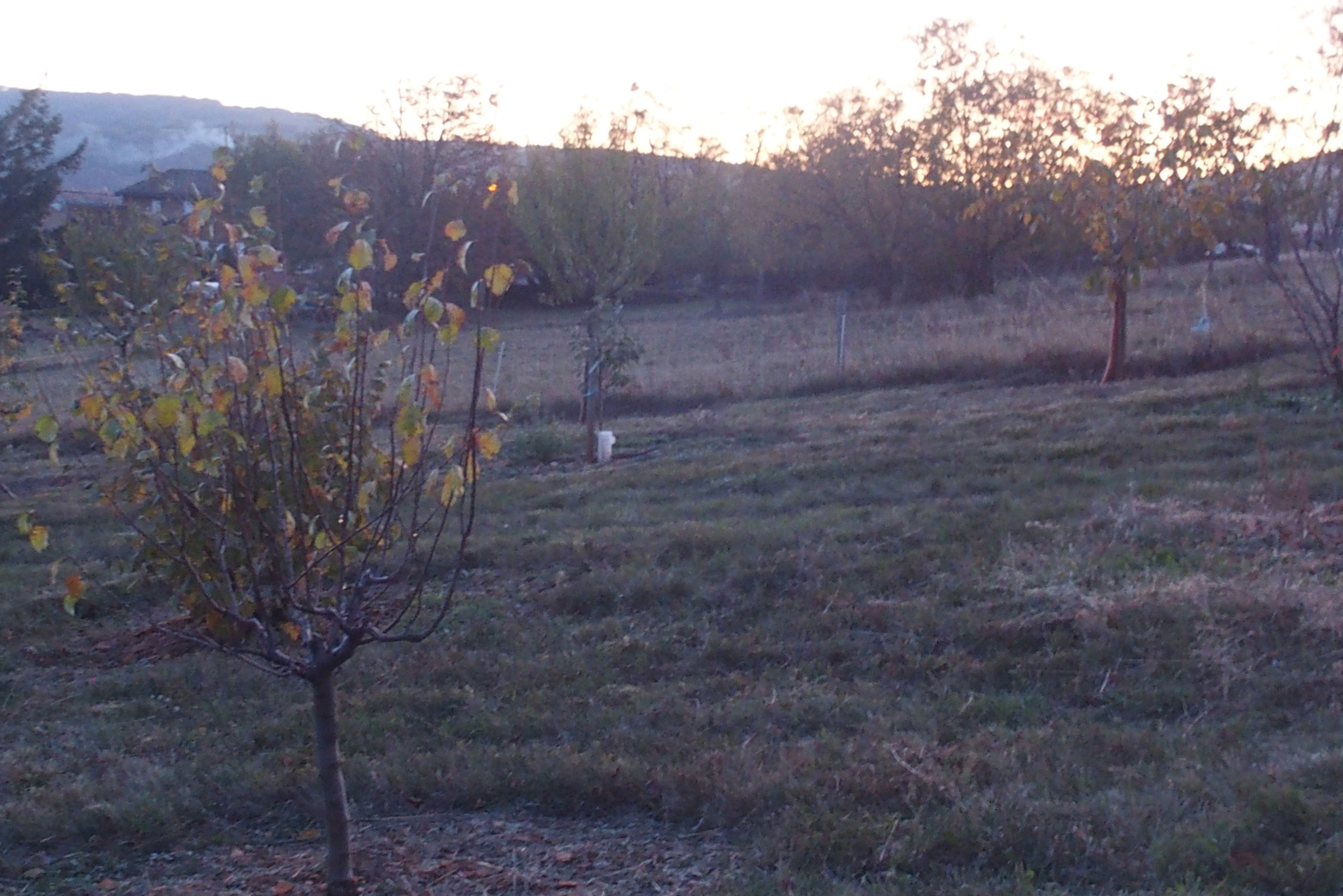 Location jardin potager 69 entre particuliers