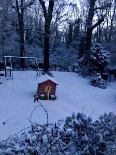 Service : nettoyage Service : nettoyage