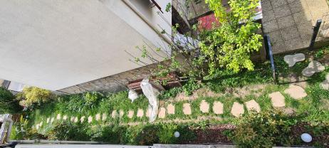 Service : entretien espace vert Service : entretien espace vert