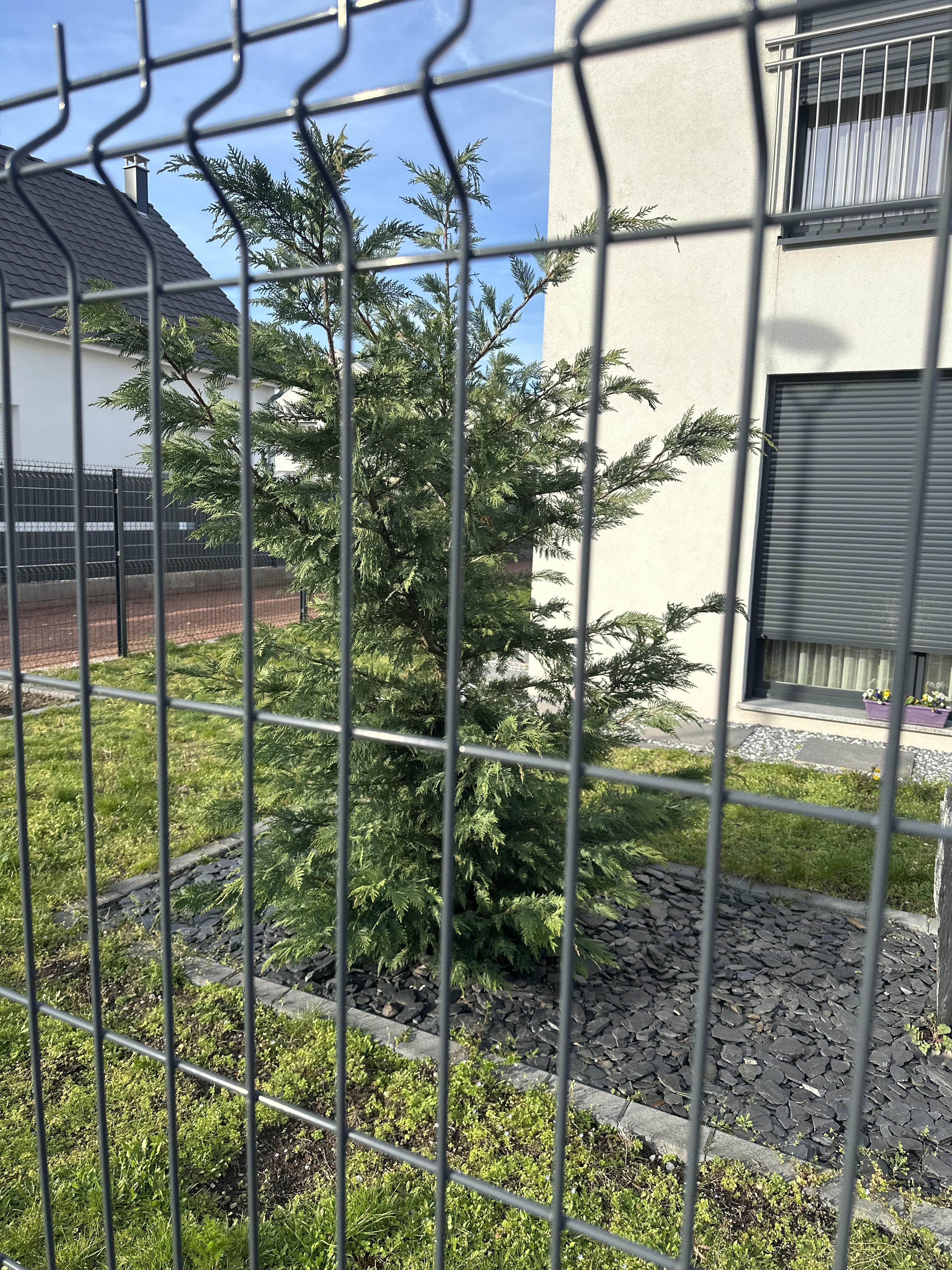 Service paysagiste 67 entre particuliers