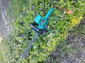 Location : taille haie Location : taille haie