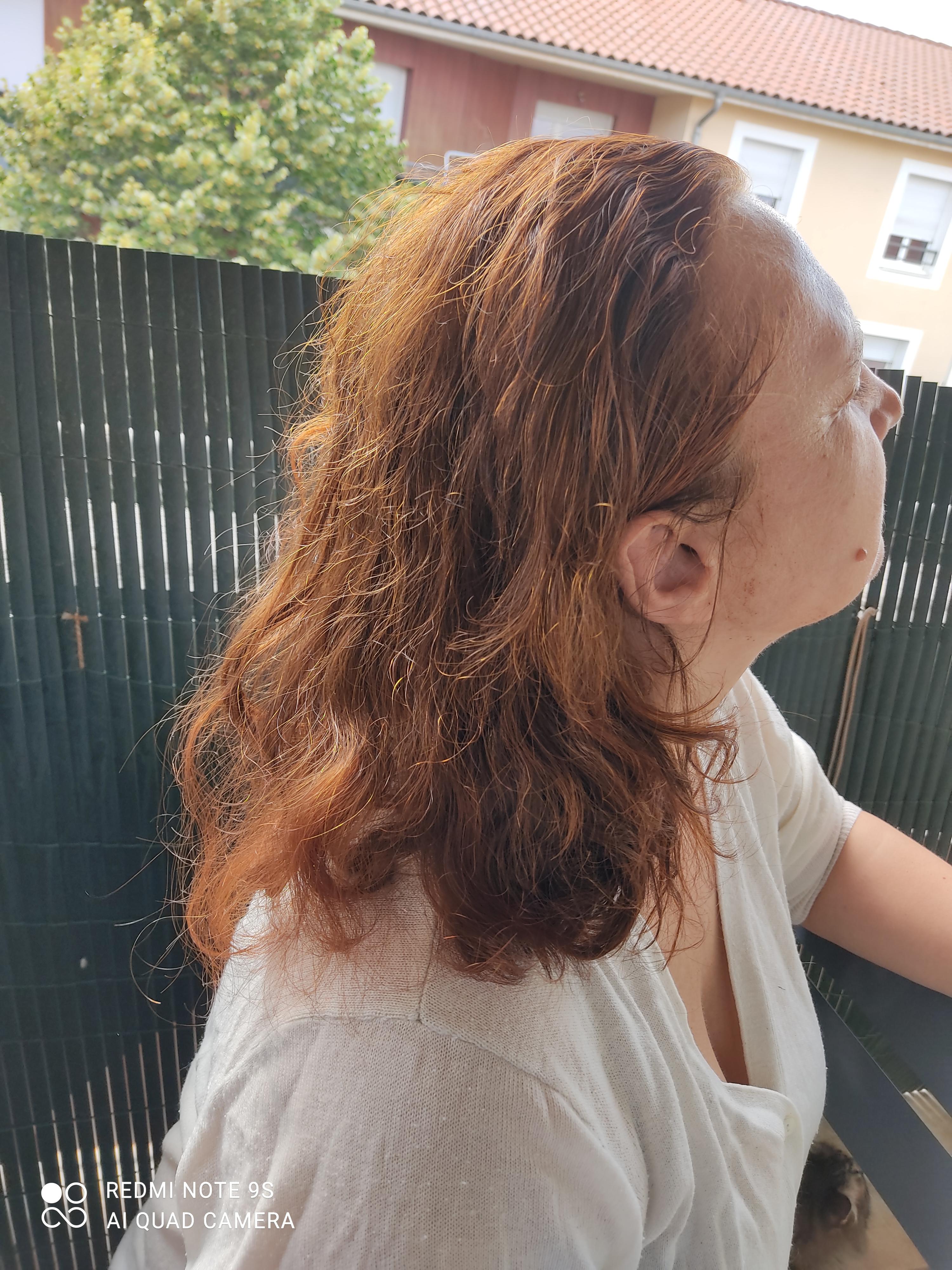 Service promeneur chien 69 entre particuliers
