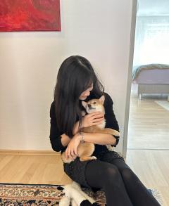 Service : garde lapin Service : garde lapin