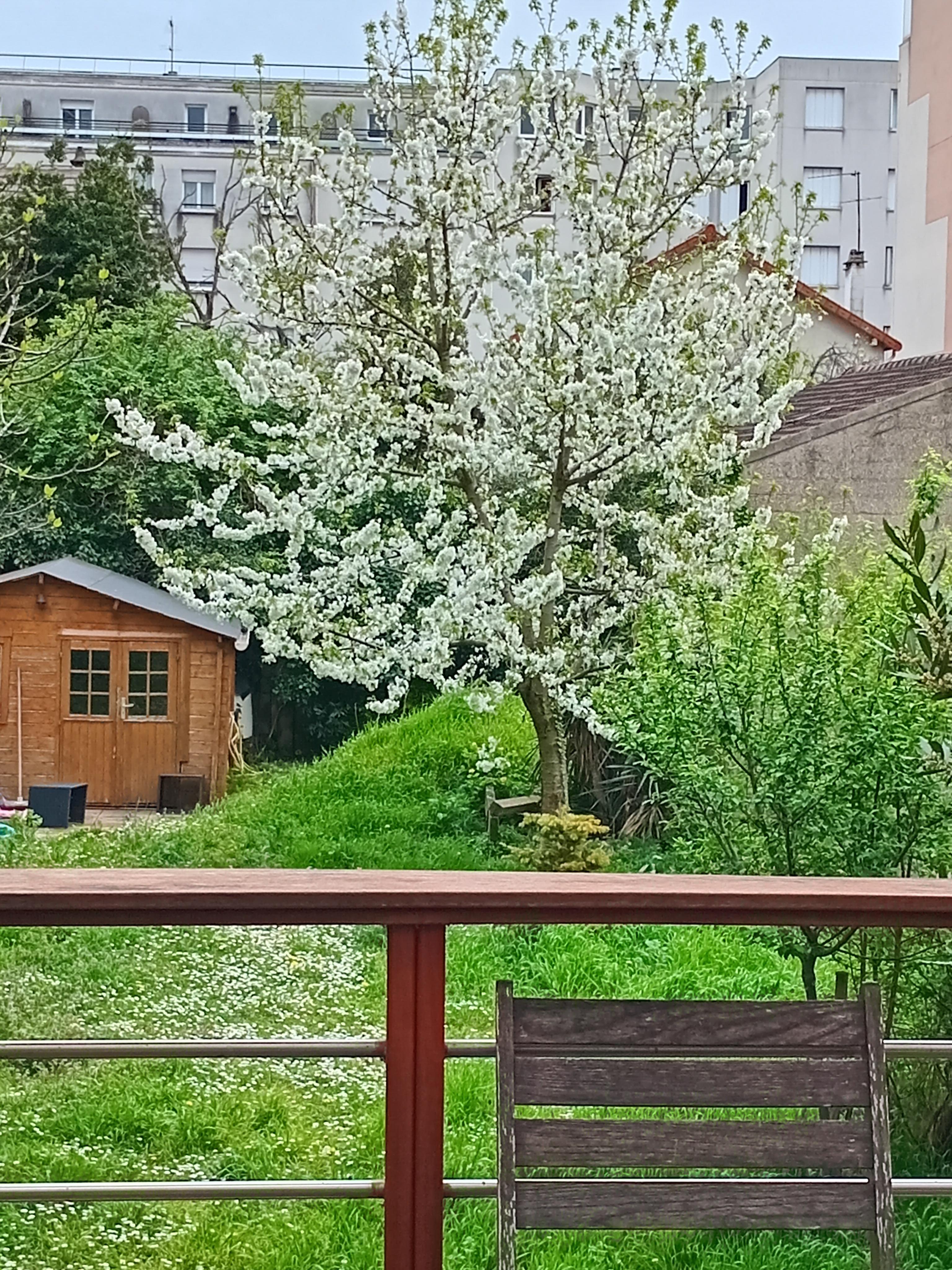 Location debroussailleuse 94 entre particuliers