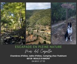 Location : tente reception Location : tente reception