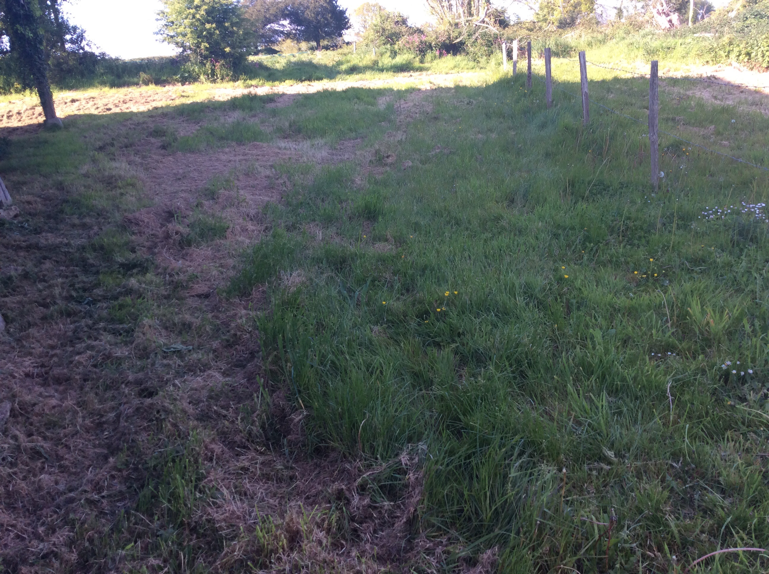 Location micro tracteur 29 entre particuliers